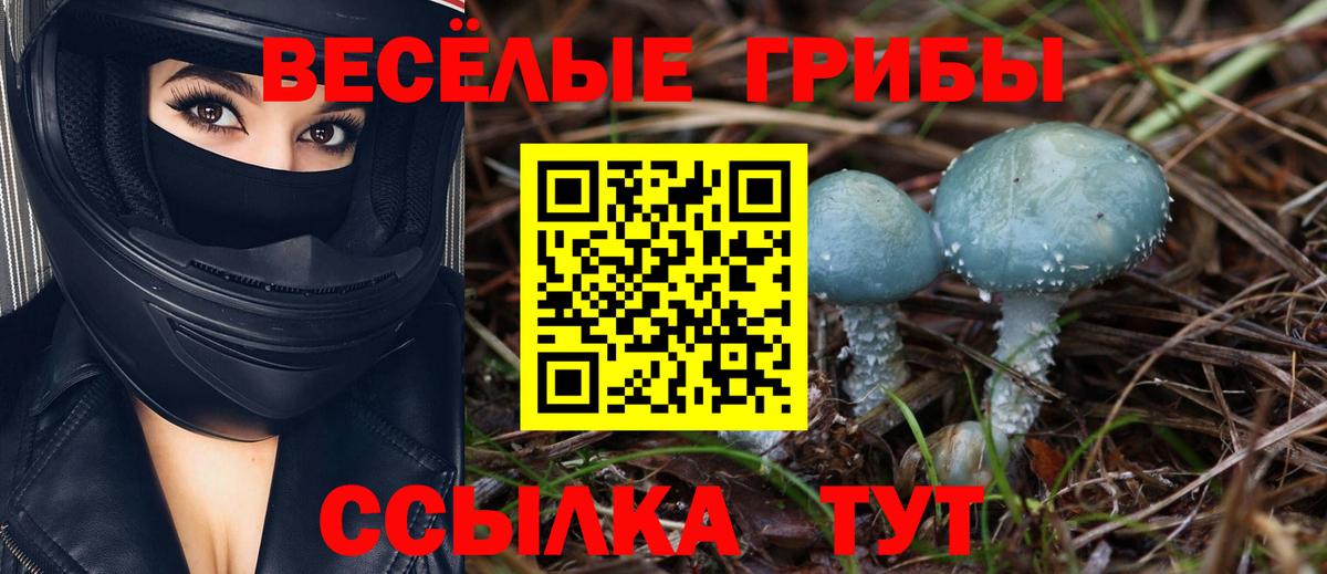 Галлюциногенные грибы мухоморы  Вход с VPN  Псилоцибиновые грибы Cubensis  Ишим 